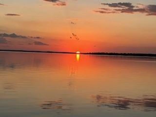 172 Little Dove, Livingston, TX 77351