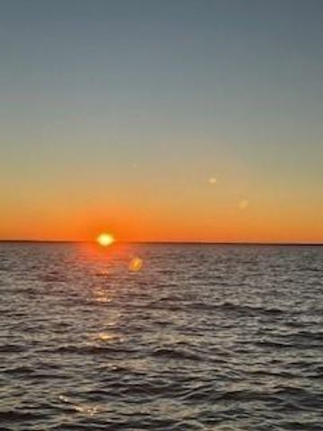 172 Little Dove, Livingston, TX 77351