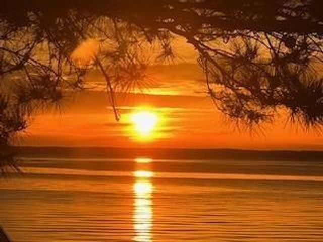 172 Little Dove, Livingston, TX 77351