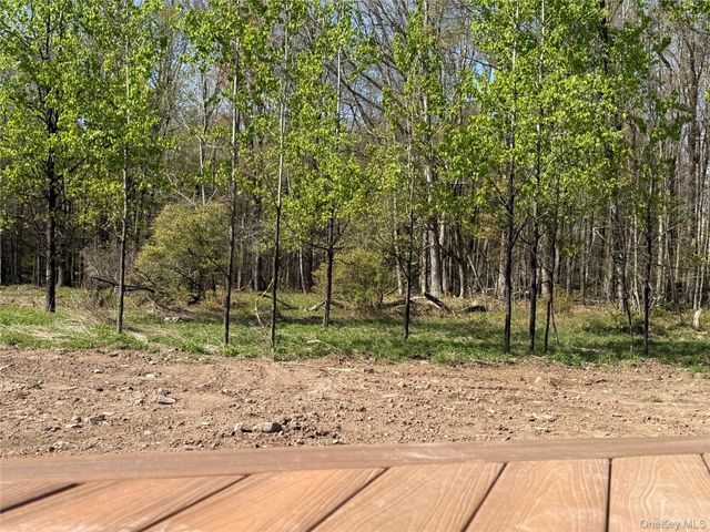 1114 County Road 114, Cochecton, NY 12726