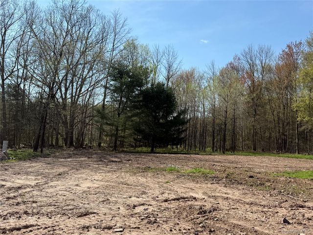 1114 County Road 114, Cochecton, NY 12726