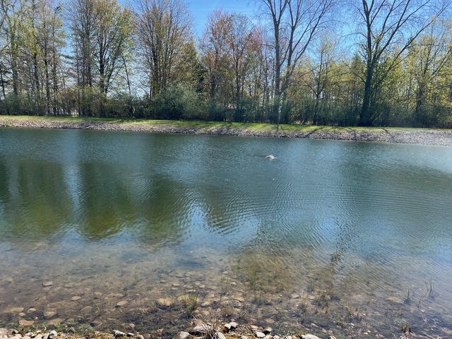 21403 Swan Creek Road, Merrill, MI 48637