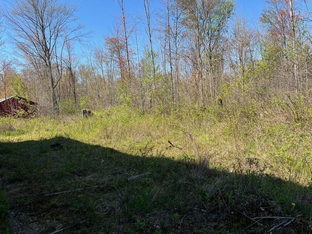 21403 Swan Creek Road, Merrill, MI 48637
