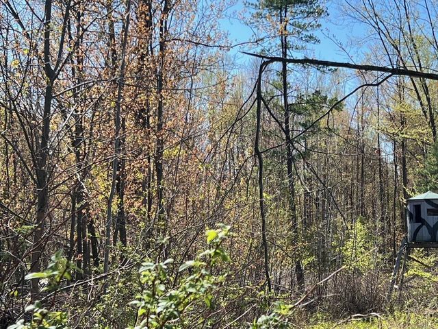 21403 Swan Creek Road, Merrill, MI 48637
