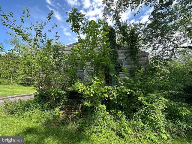 13726 HOPPS LANDING RD, Hagerstown, MD 21740