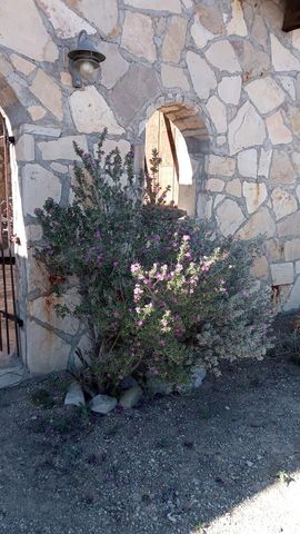 1998 Nodeerhere Rd, Terlingua, TX 79852