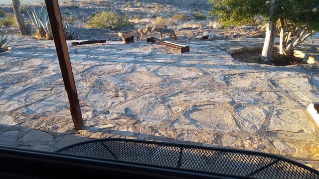 1998 Nodeerhere Rd, Terlingua, TX 79852