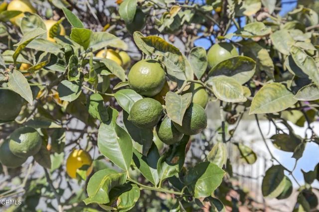 622 South Evergreen Drive Drive, Ventura, CA 93003