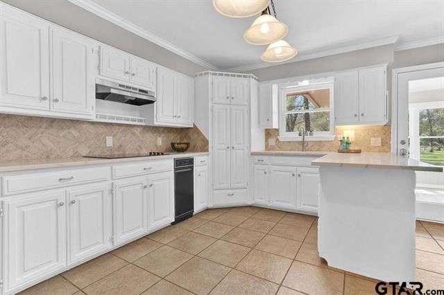 206 Hideaway Lane Central, Hideaway, TX 75771