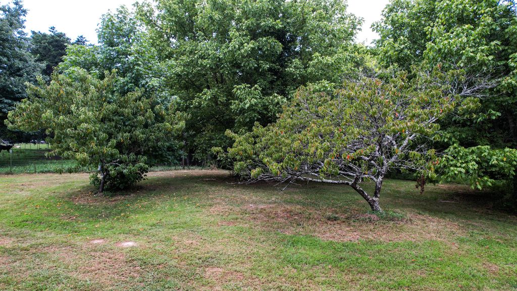 0 Pikes Drive Lot 6, Trenton, GA 30752