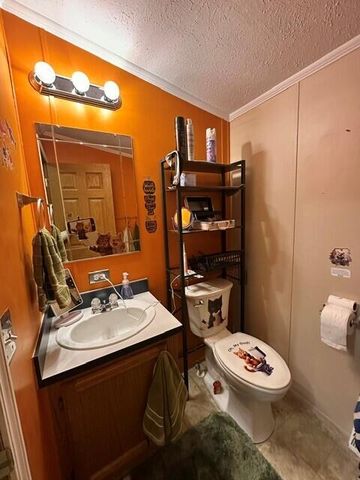 13633 Iris Lane, Cedar Springs, MI 49319