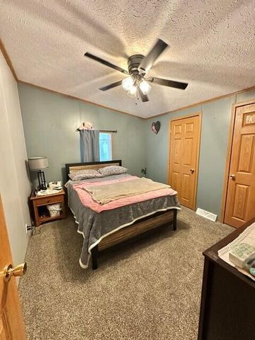 13633 Iris Lane, Cedar Springs, MI 49319