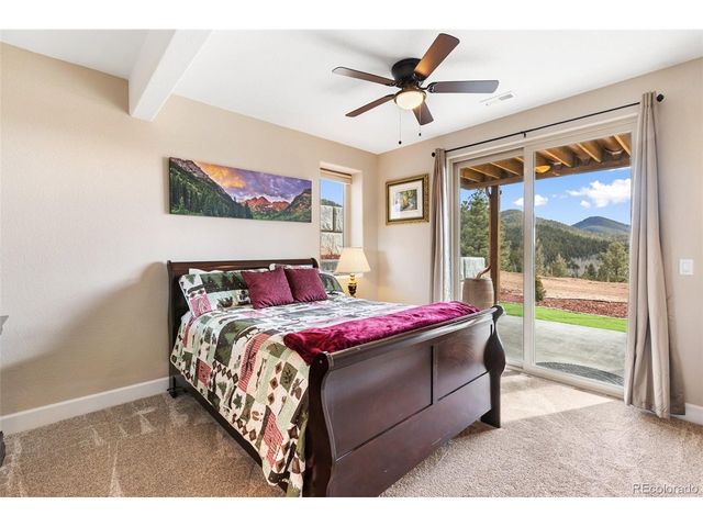 4101 Spruce Rd, Woodland Park, CO 80863