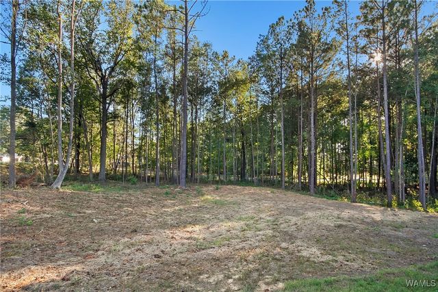 13602 Cranberry Drive, Northport, AL 35475