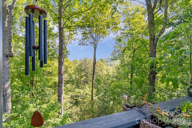 107 Spruce Lane, Zirconia, NC 28790