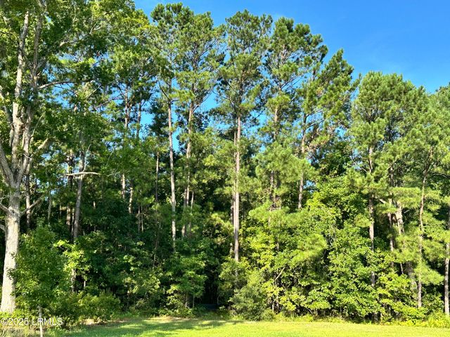 Lot 5a N Okatie Highway, Ridgeland, SC 29936