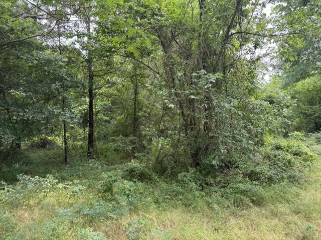 000 45030, Powderly, TX 75473