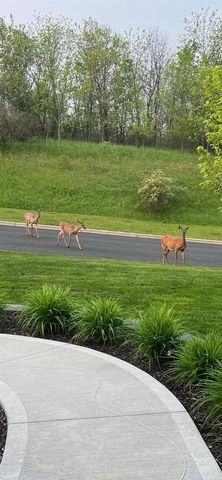 392 Campbell Hill Court, Deforest, WI 53532