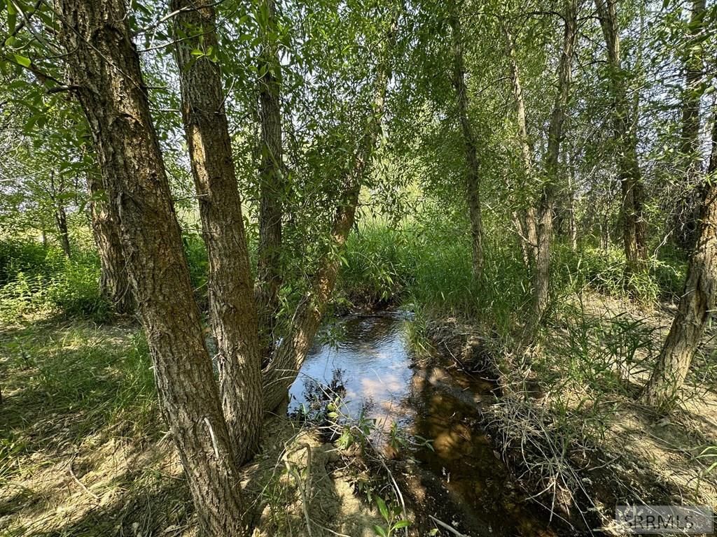 Image 19 of property listing at 3060 River Side Dr, Chester, ID 83421