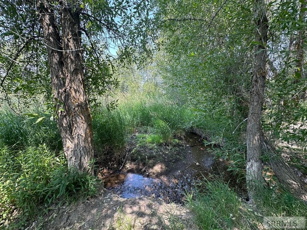 Image 20 of property listing at 3060 River Side Dr, Chester, ID 83421