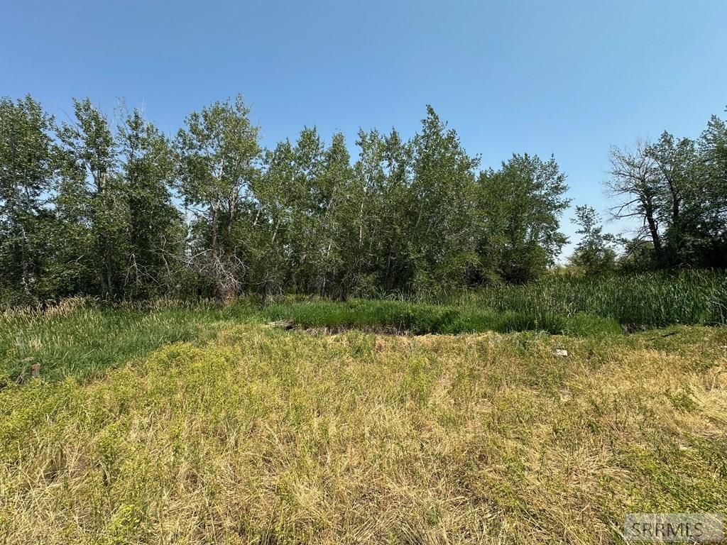 Image 22 of property listing at 3060 River Side Dr, Chester, ID 83421