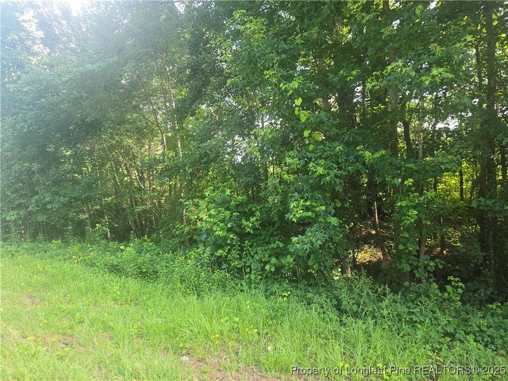 Rockfish Road, Raeford, NC 28376 — exterior