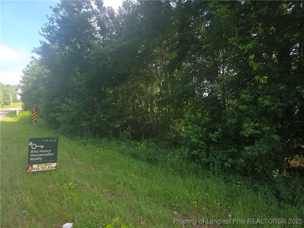 Rockfish Road, Raeford, NC 28376 — photo 3