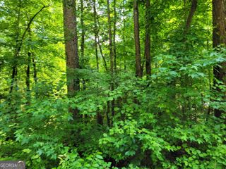 8033 Longleaf Drive, Villa Rica, GA 30180