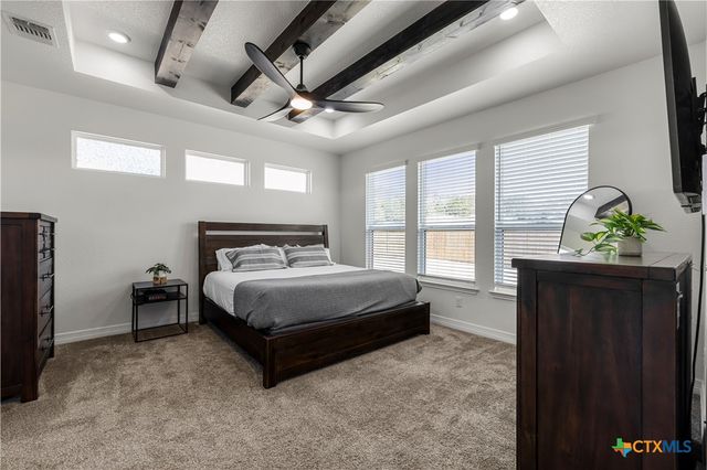 4145 Turning Leaf Drive, Nolanville, TX 76559