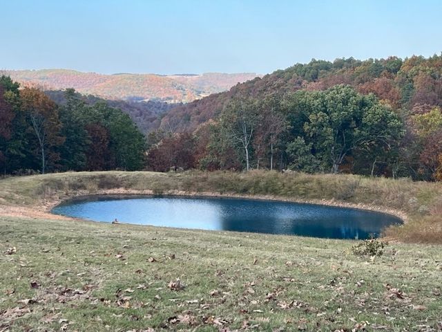 2268 MC 6035, Yellville, AR 72687