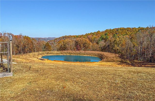 2268 MC 6035, Yellville, AR 72687