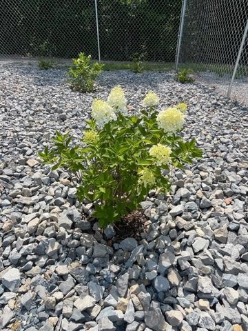 2268 MC 6035, Yellville, AR 72687