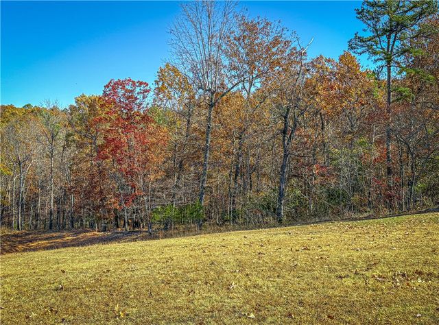 2268 MC 6035, Yellville, AR 72687