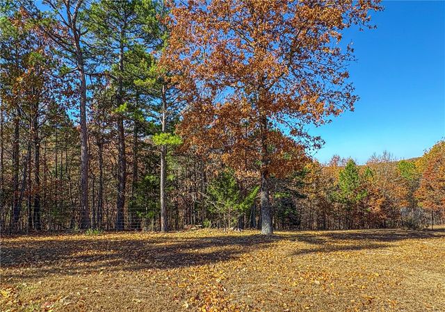 2268 MC 6035, Yellville, AR 72687