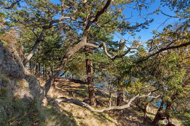 7 Roche Harbor Shores, San Juan Island, WA 98250