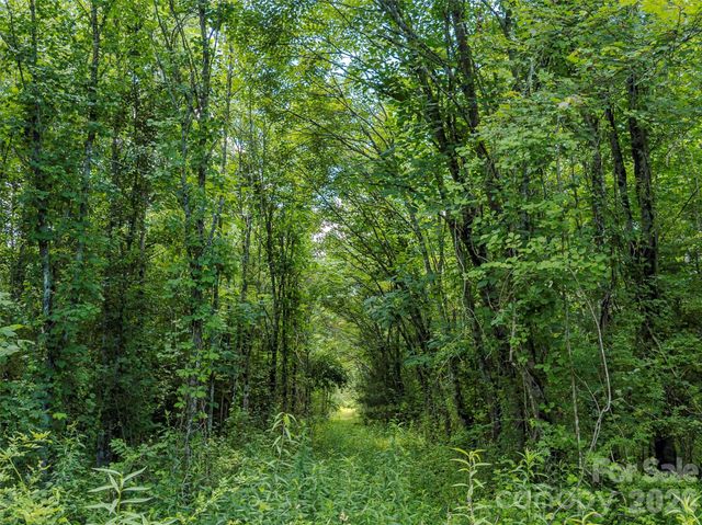 TBD Canebrake Road, Pisgah Forest, NC 28768