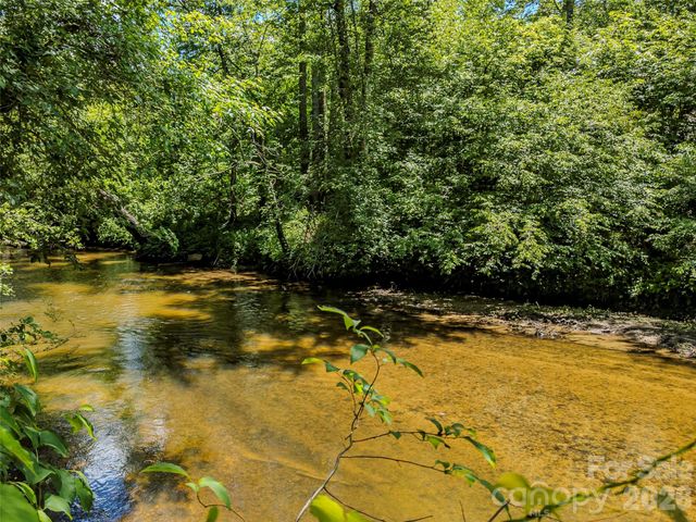 TBD Canebrake Road, Pisgah Forest, NC 28768