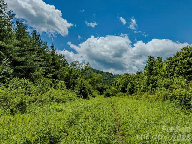 TBD Canebrake Road, Pisgah Forest, NC 28768