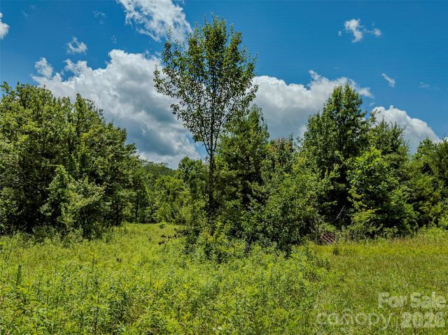 TBD Canebrake Road, Pisgah Forest, NC 28768