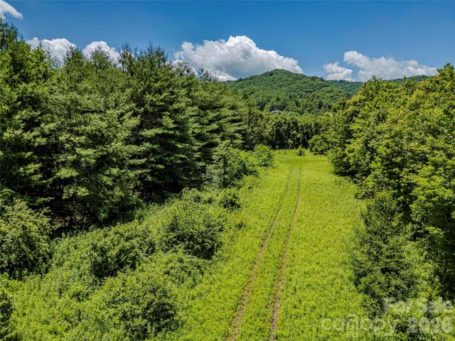 TBD Canebrake Road, Pisgah Forest, NC 28768