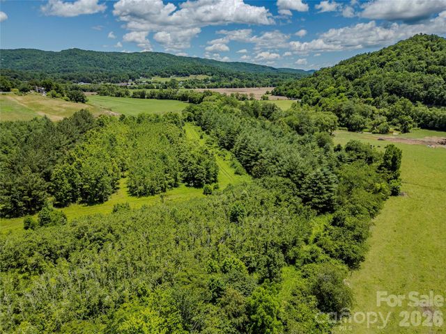 TBD Canebrake Road, Pisgah Forest, NC 28768