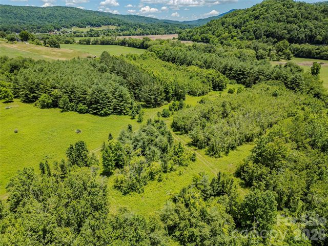 TBD Canebrake Road, Pisgah Forest, NC 28768