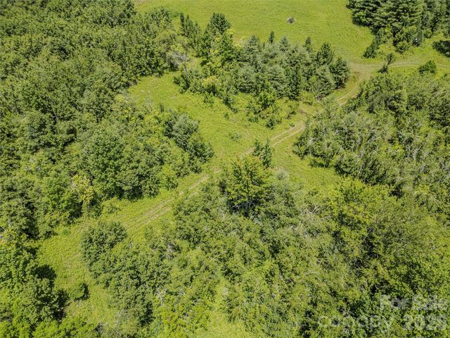 TBD Canebrake Road, Pisgah Forest, NC 28768