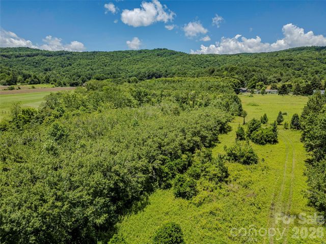 TBD Canebrake Road, Pisgah Forest, NC 28768