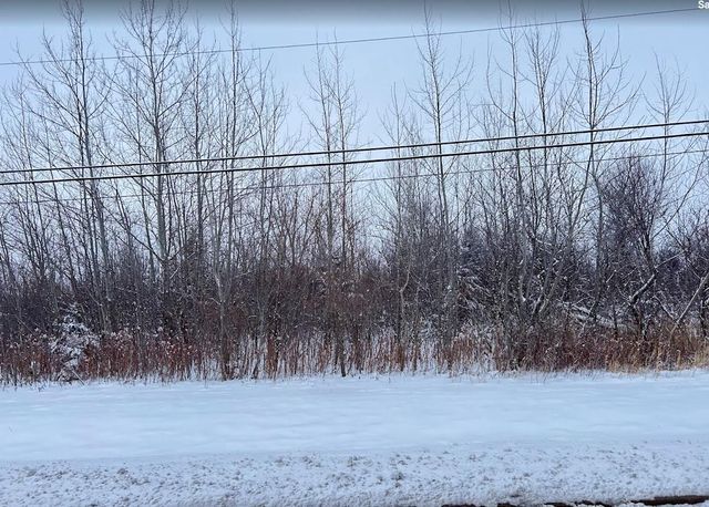 Vacant Lot W 167th Street, Lockport, IL 60441