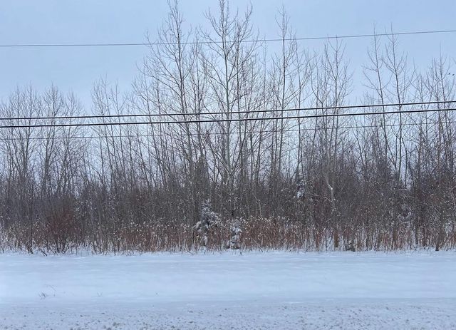 Vacant Lot W 167th Street, Lockport, IL 60441