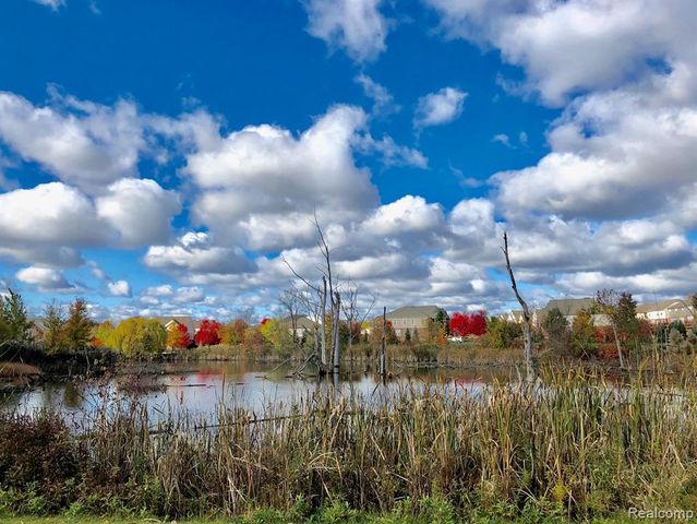 44563 Gwinnett Loop, Novi, MI 48377