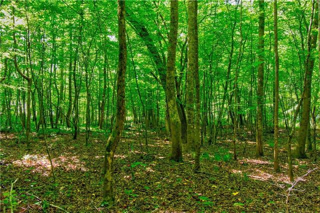 5.31 Tom Bell Odom Road, Dahlonega, GA 30533