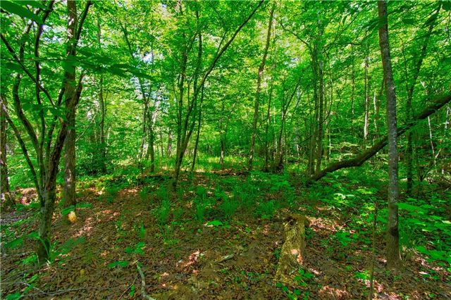 5.31 Tom Bell Odom Road, Dahlonega, GA 30533