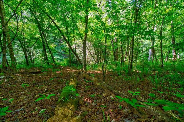 5.31 Tom Bell Odom Road, Dahlonega, GA 30533